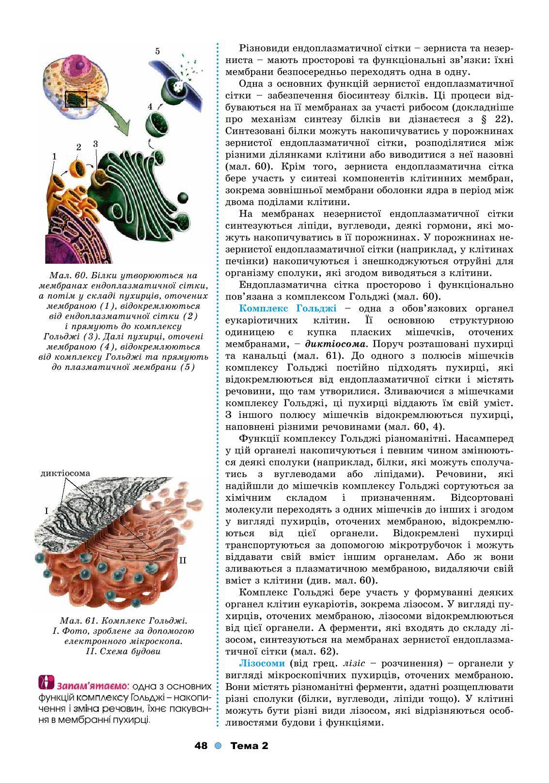 Мініатюра 48
