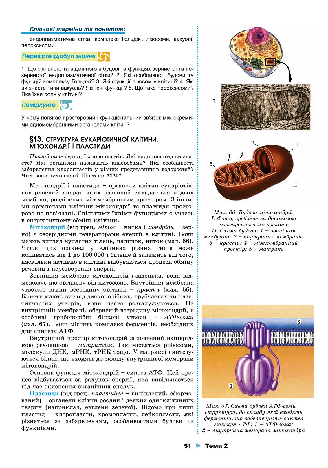 Мініатюра 51