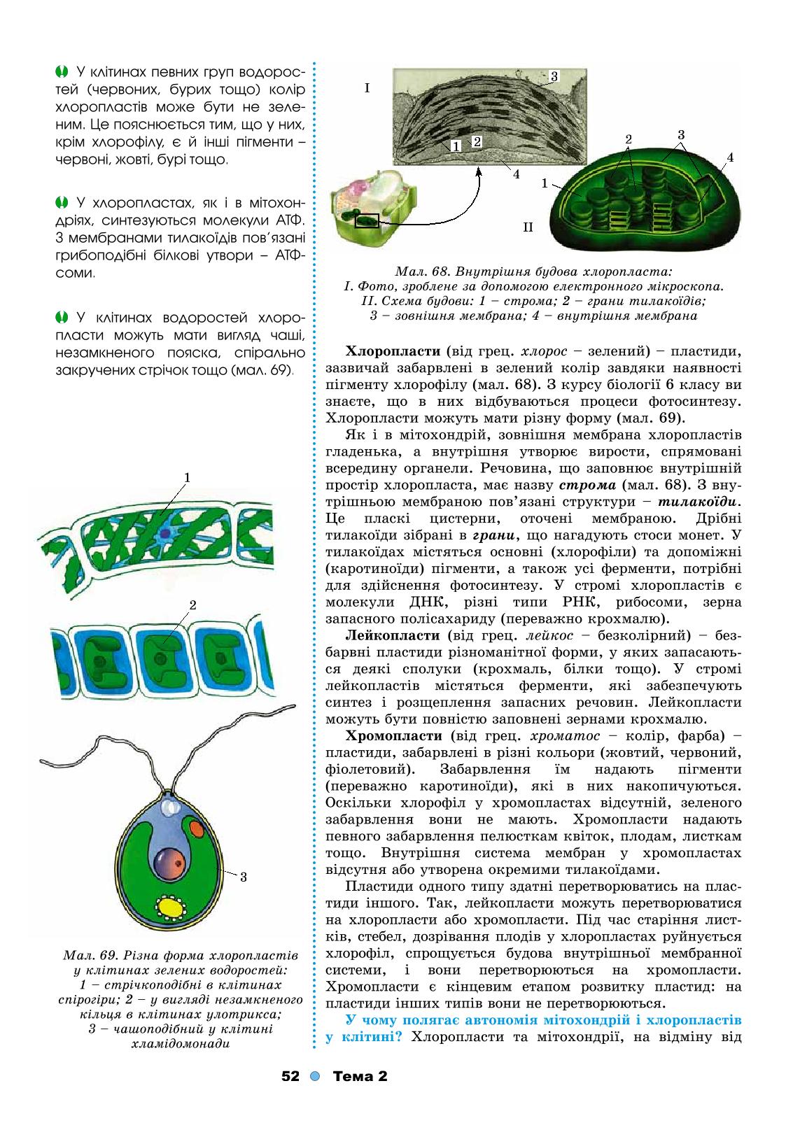 Мініатюра 52