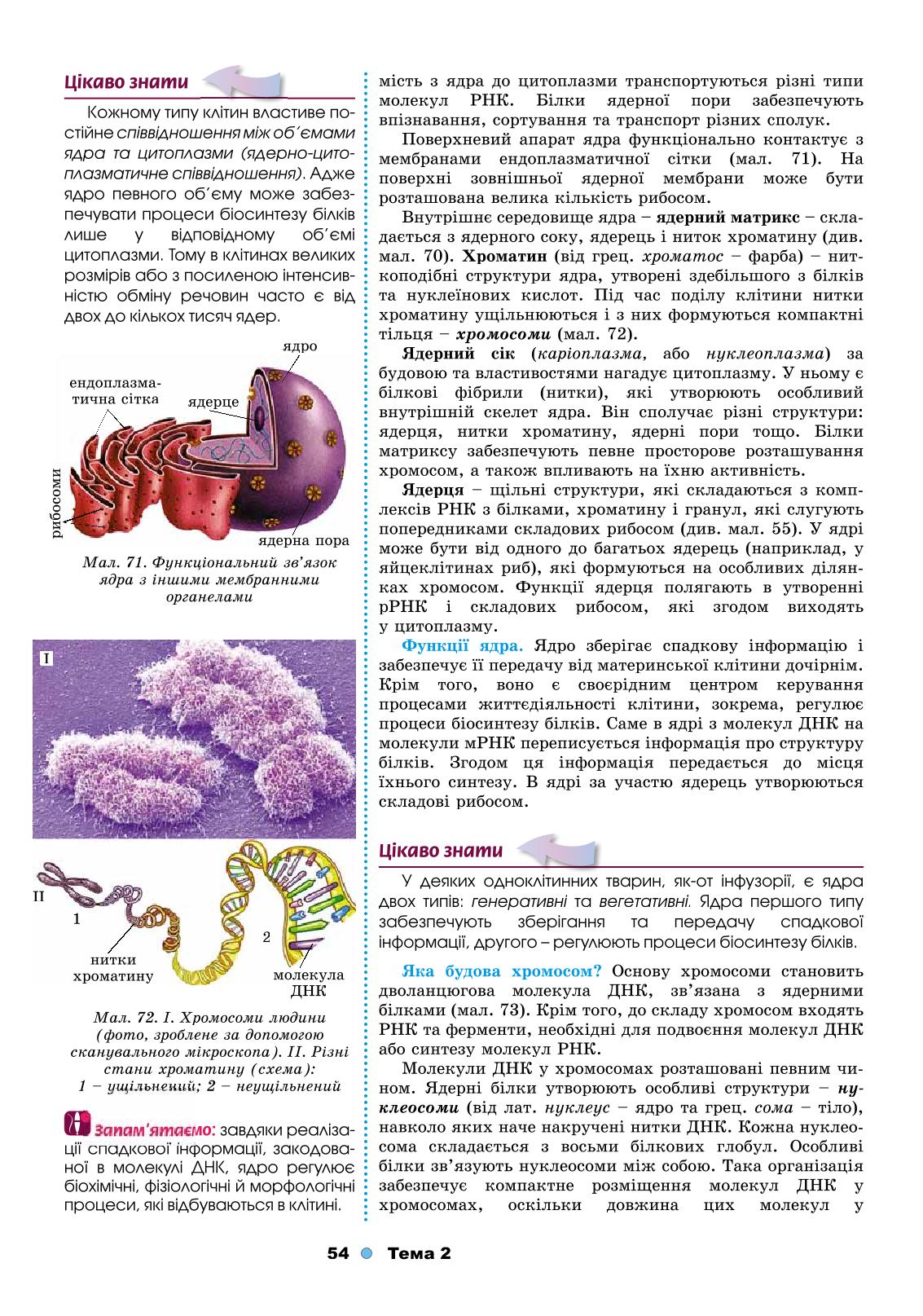 Мініатюра 54