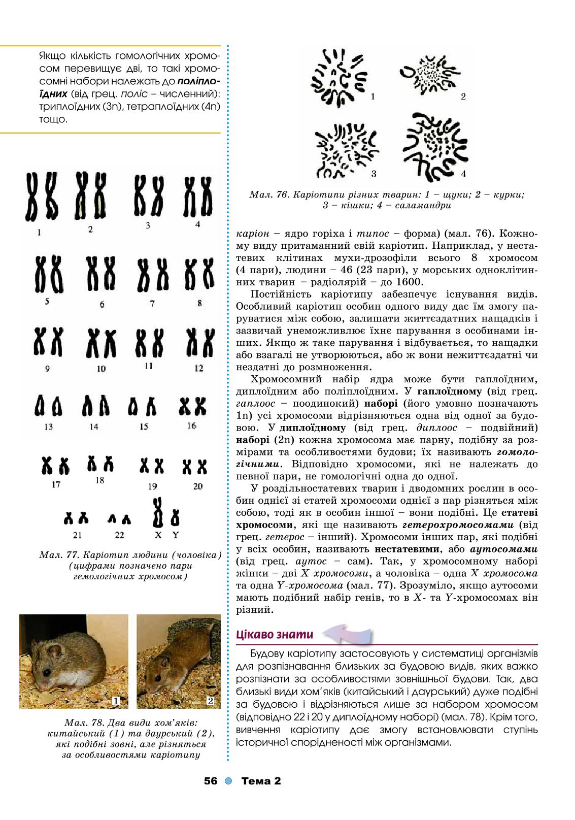 Мініатюра 56