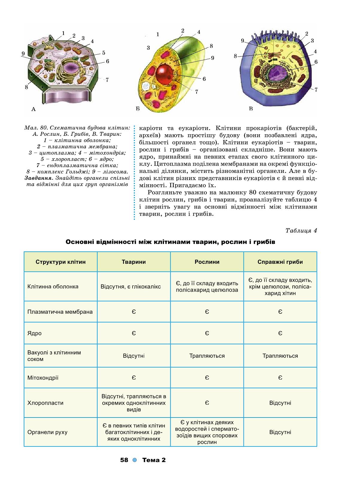 Мініатюра 58