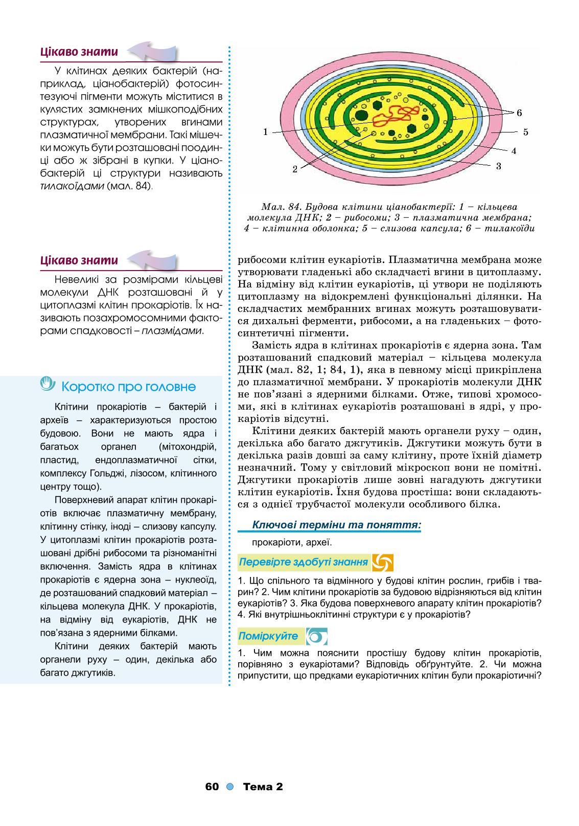 Мініатюра 60