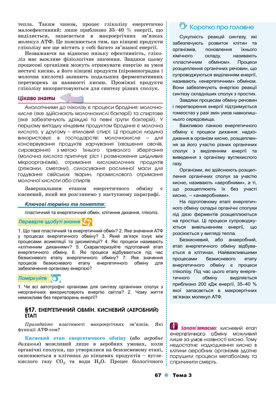 Мініатюра 67