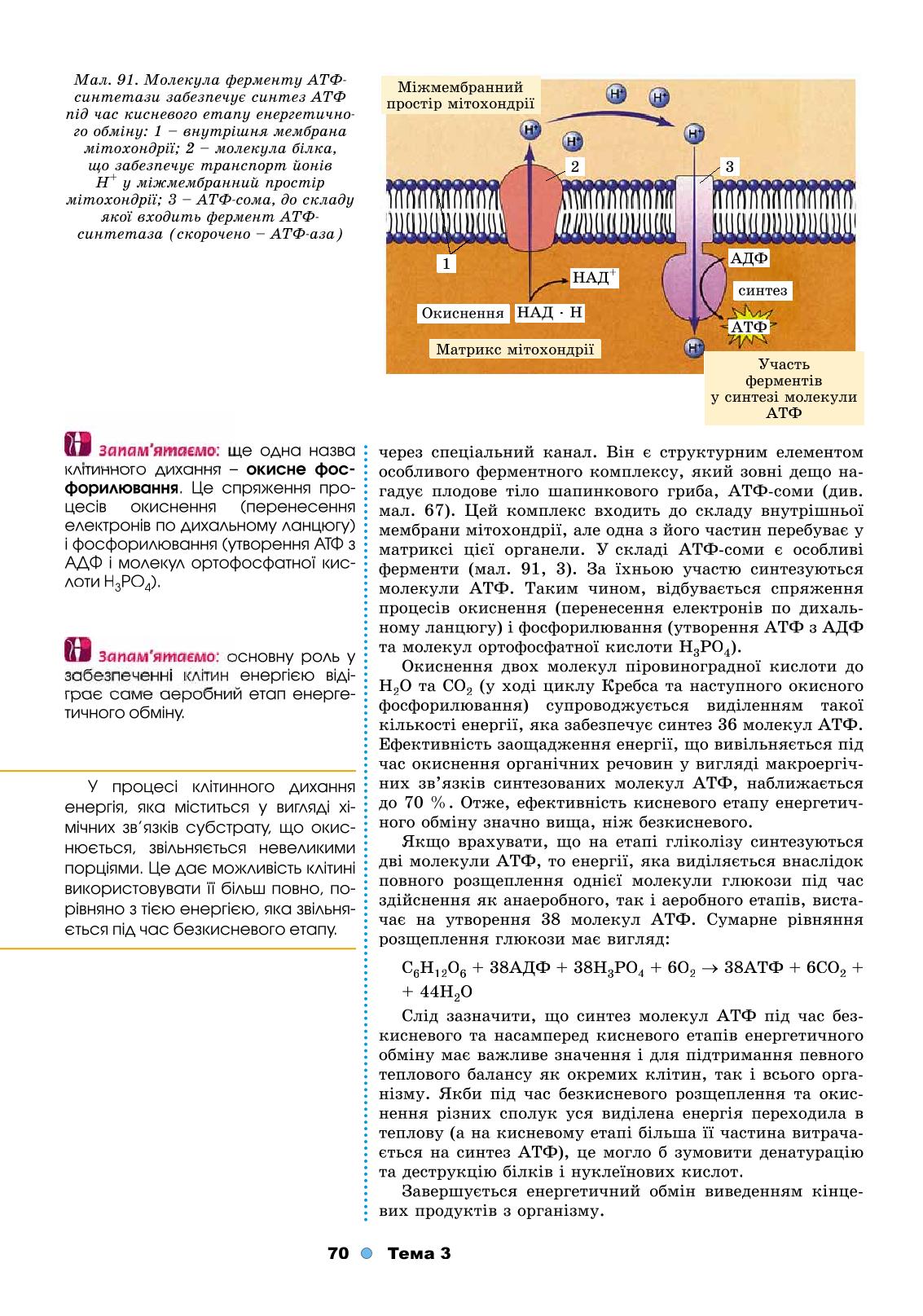 Мініатюра 70