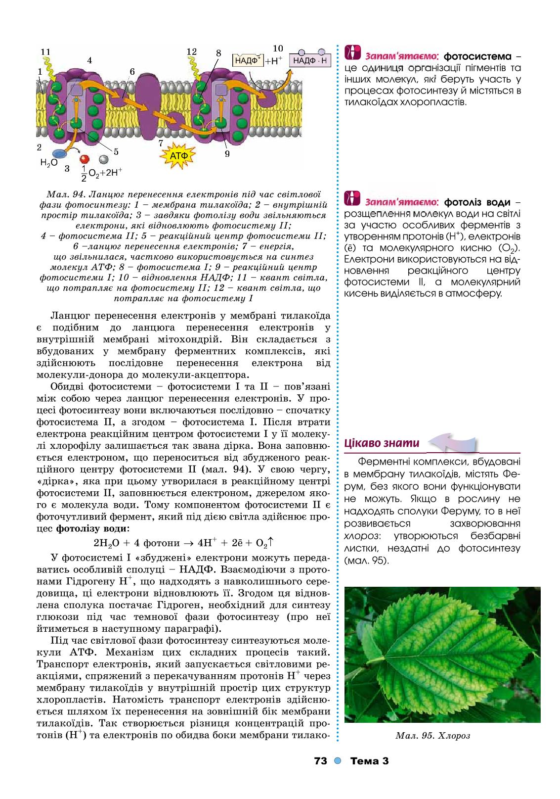 Мініатюра 73