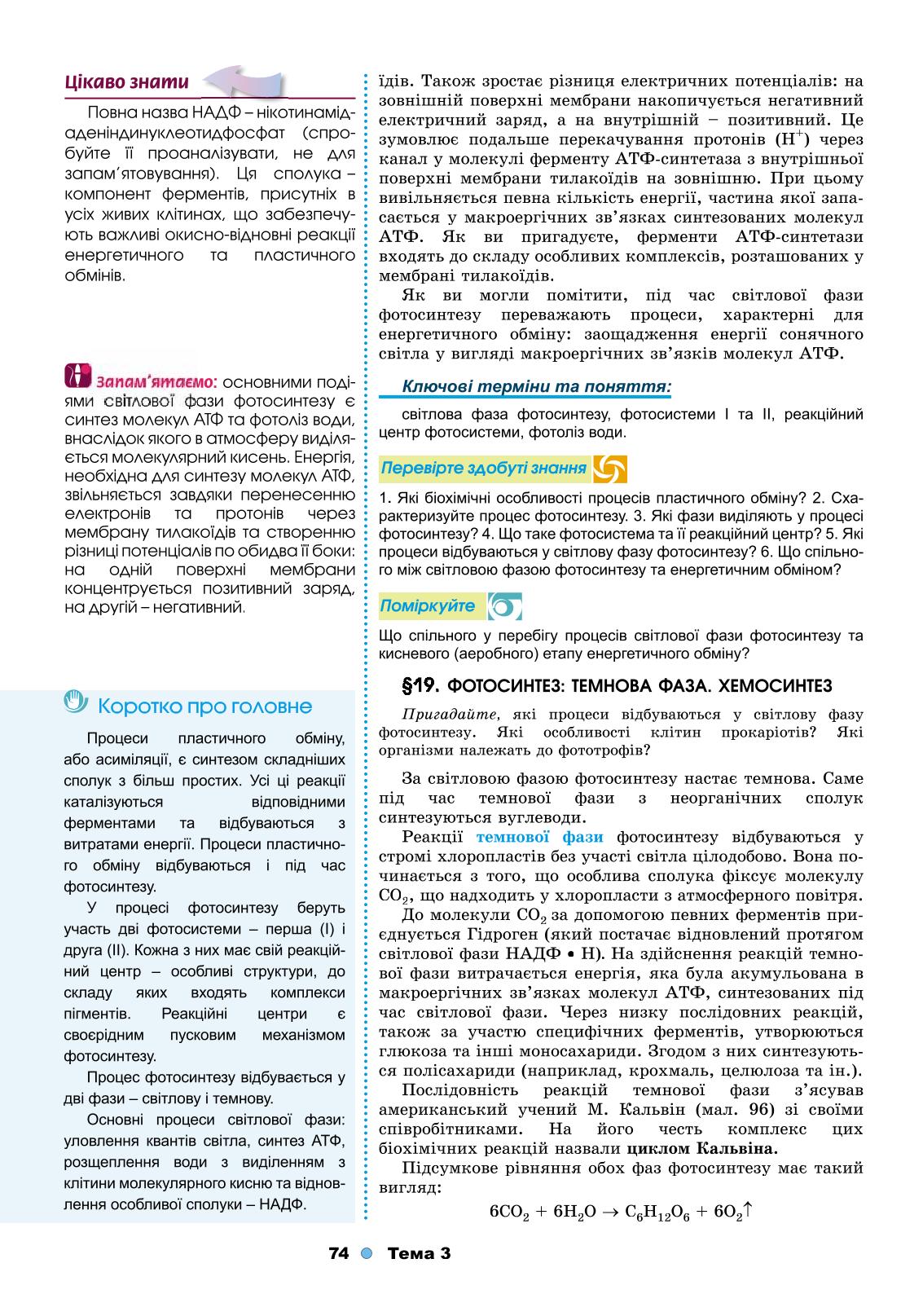 Мініатюра 74