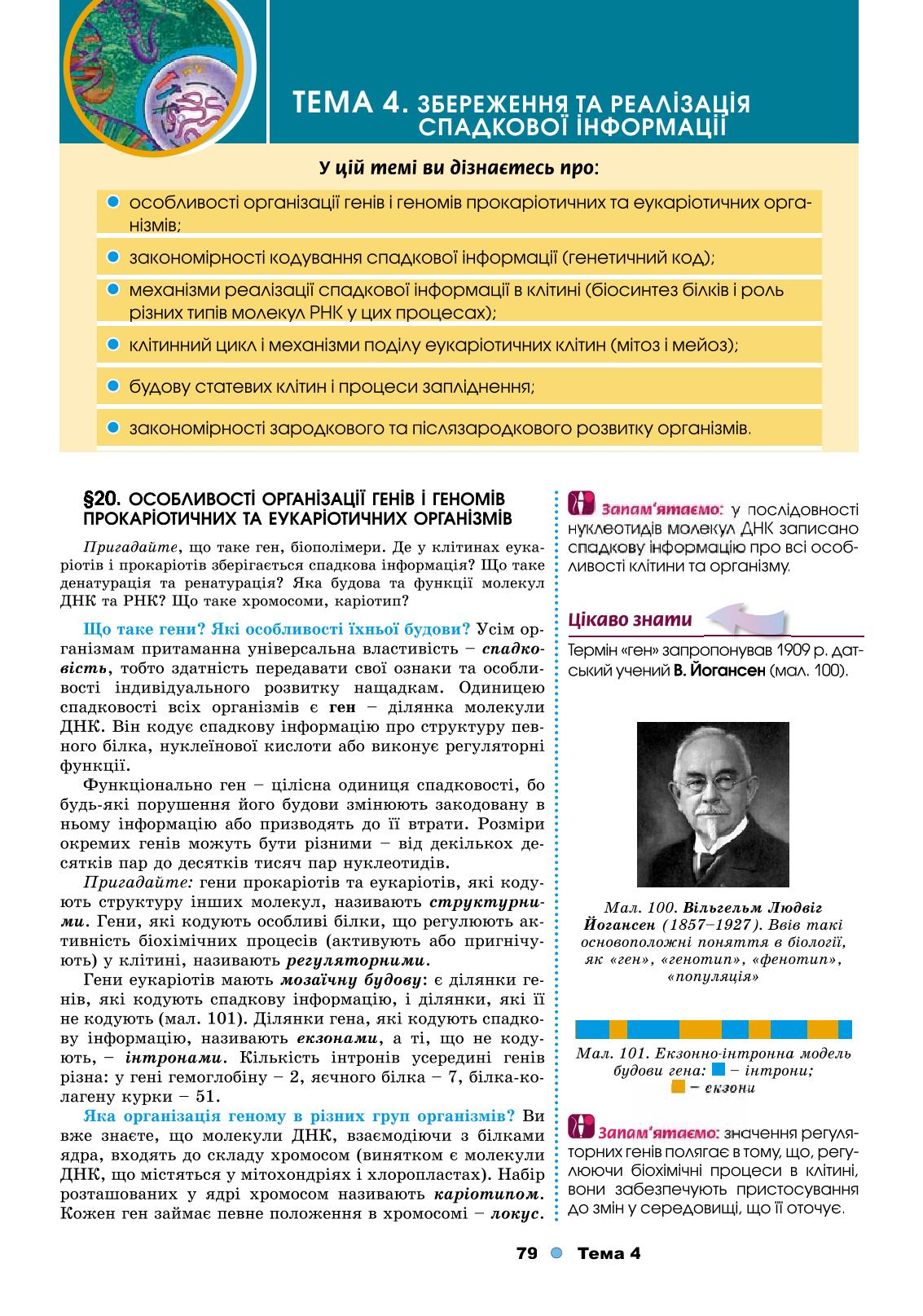 Мініатюра 79