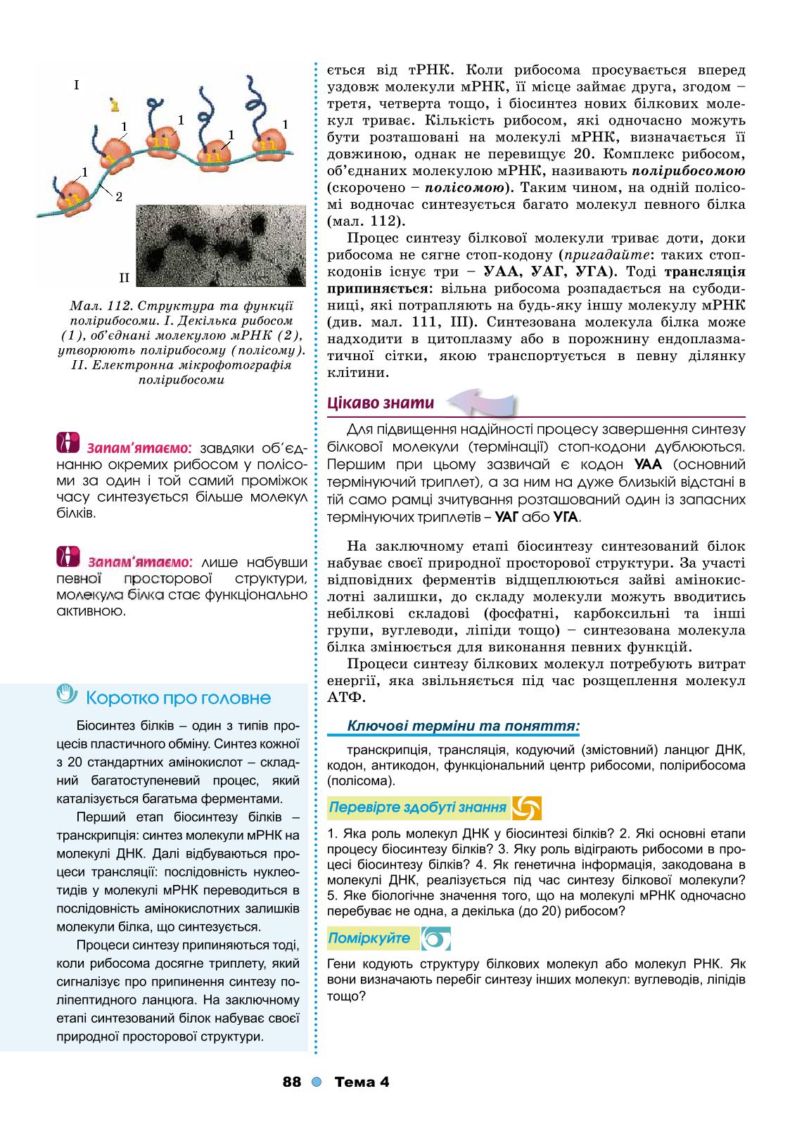 Мініатюра 88