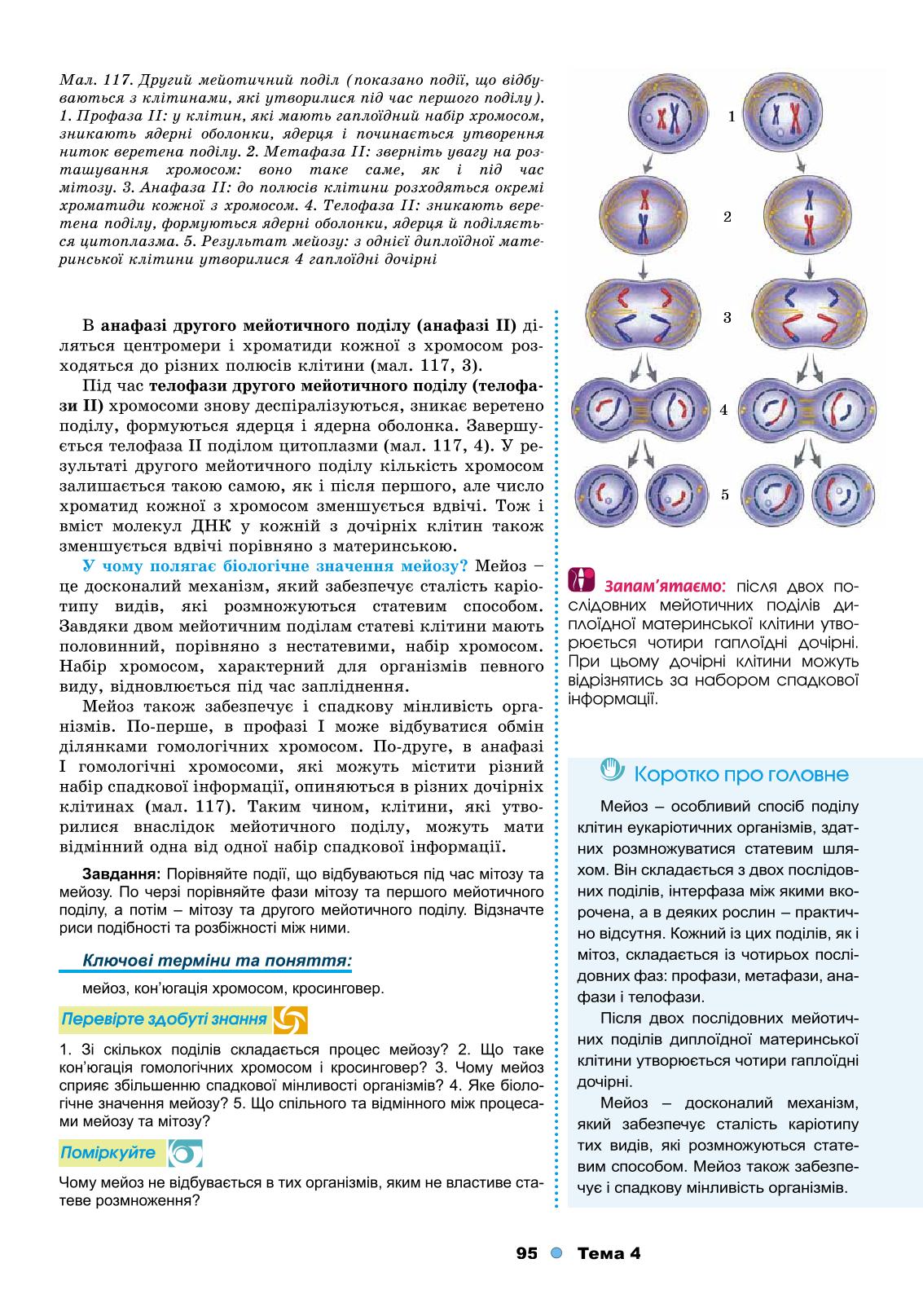 Мініатюра 95