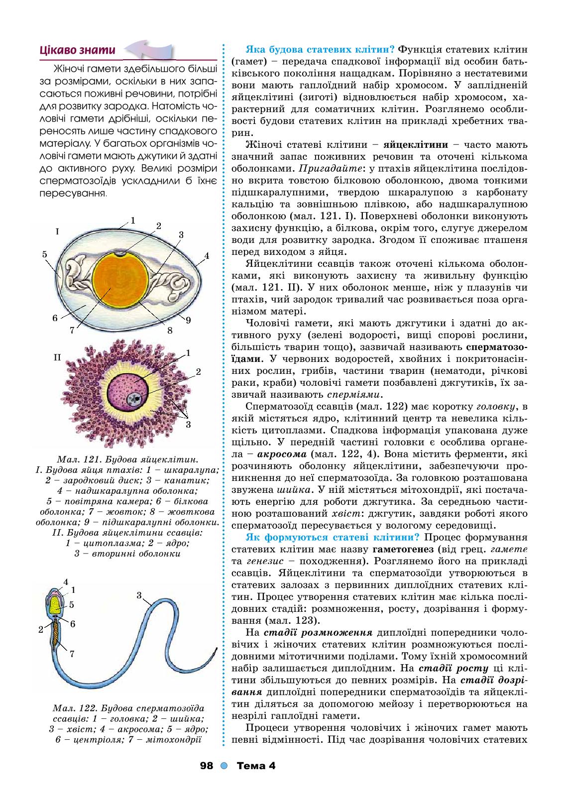 Мініатюра 98