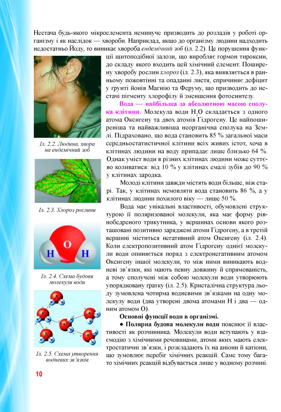Мініатюра 10