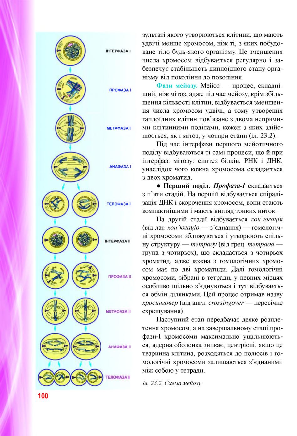 Мініатюра 100