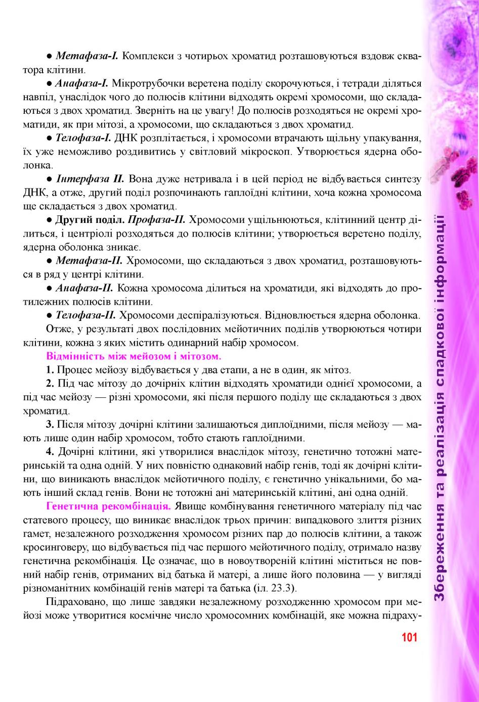 Мініатюра 101