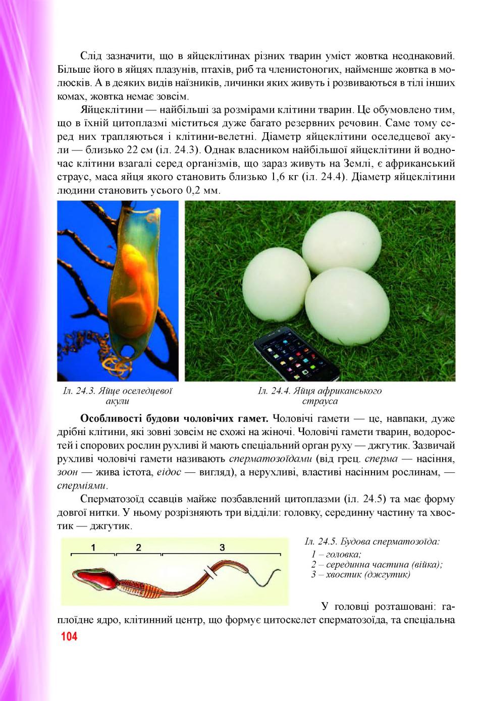 Мініатюра 104