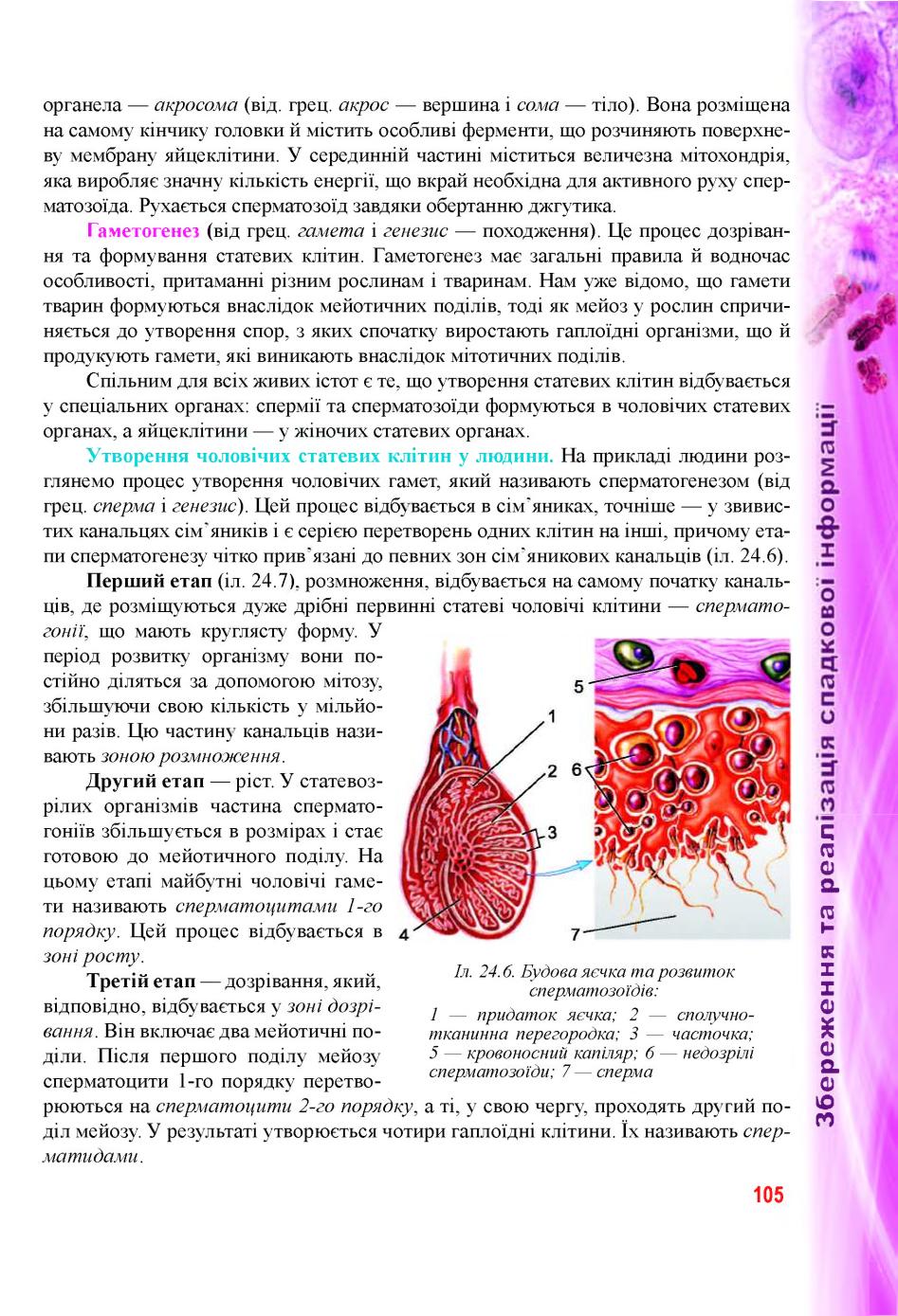 Мініатюра 105