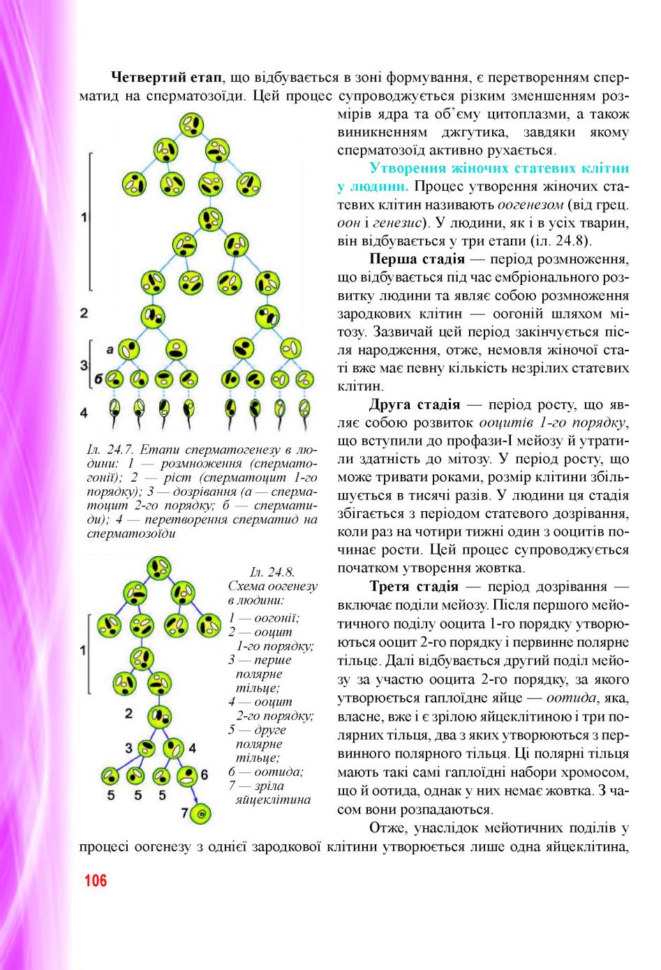 Мініатюра 106