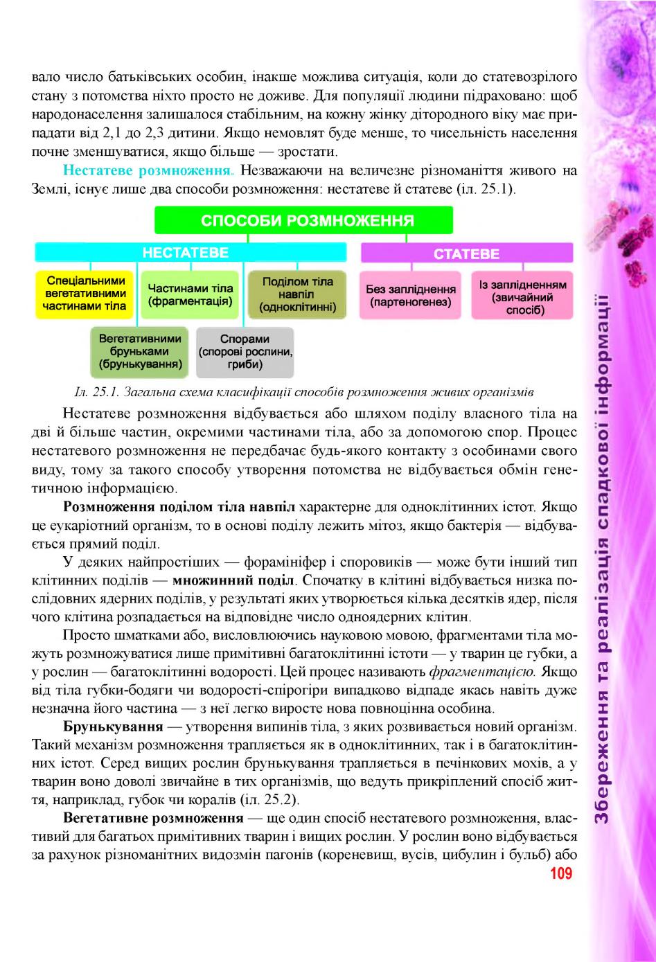 Мініатюра 109