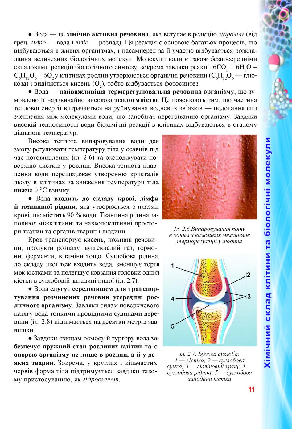 Мініатюра 11
