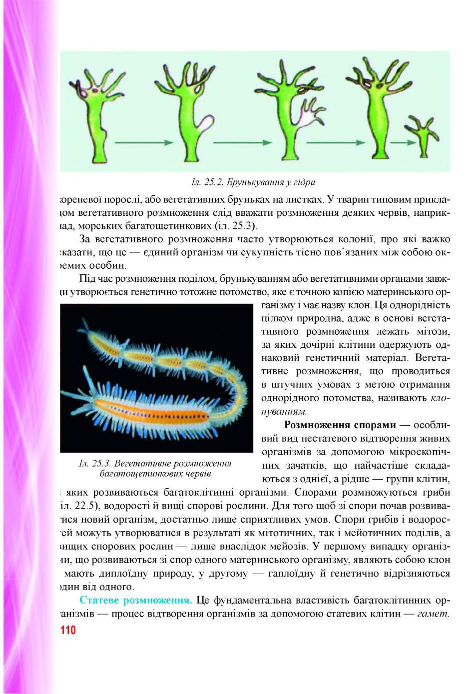 Мініатюра 110