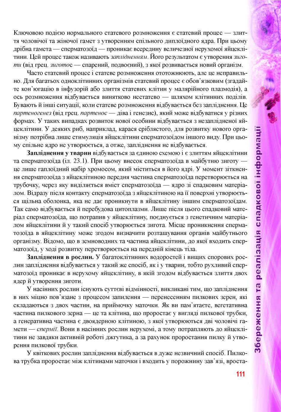 Мініатюра 111