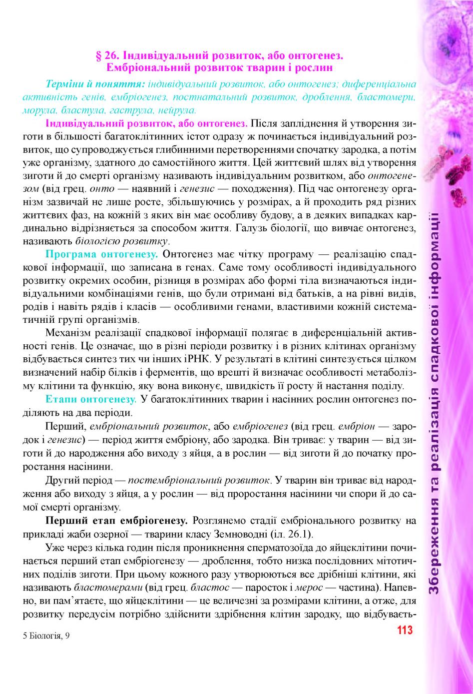 Мініатюра 113