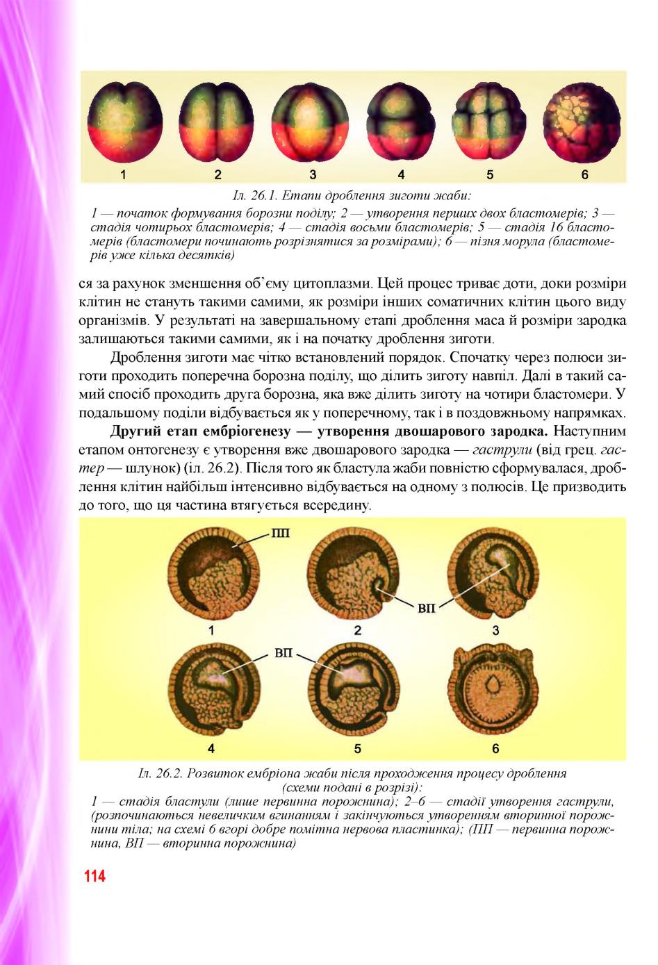 Мініатюра 114