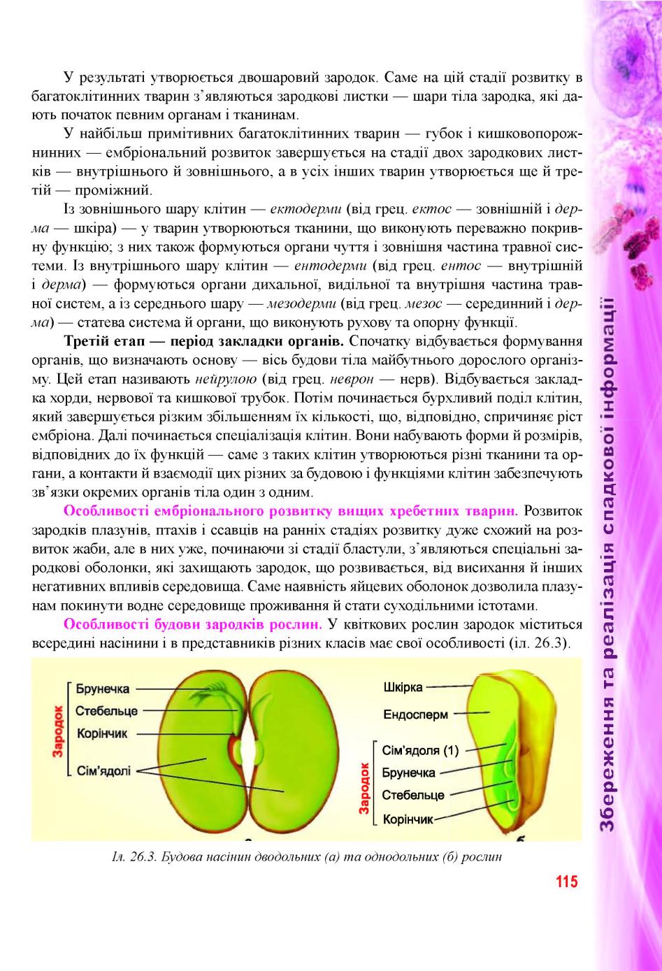 Мініатюра 115
