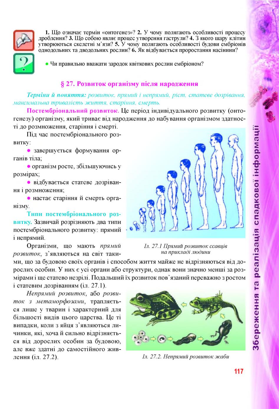 Мініатюра 117