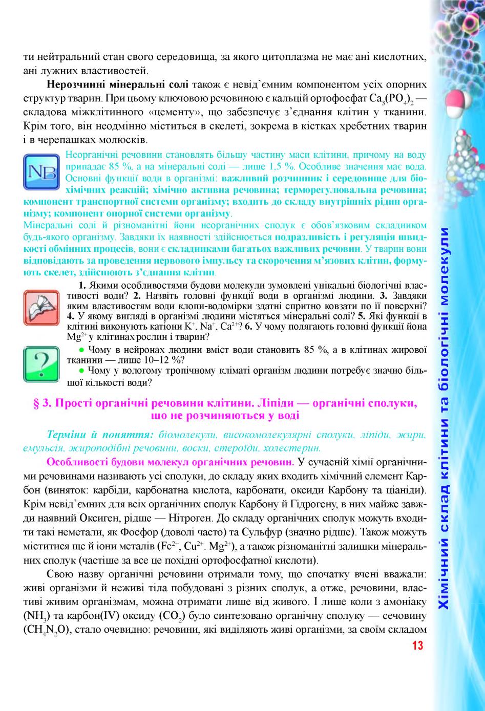 Мініатюра 13