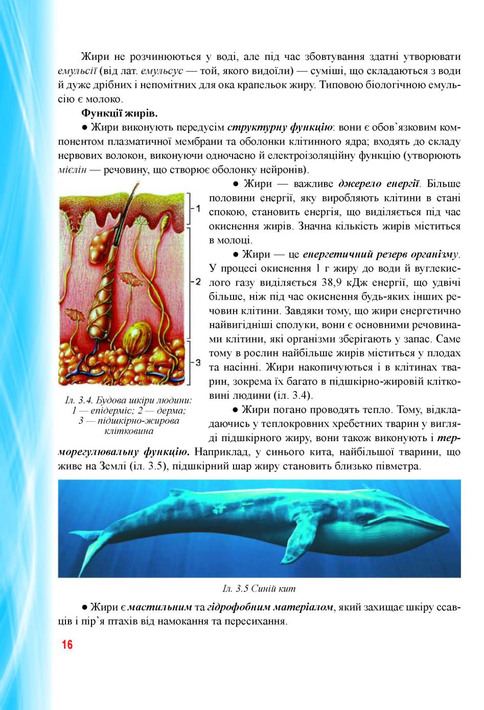 Мініатюра 16