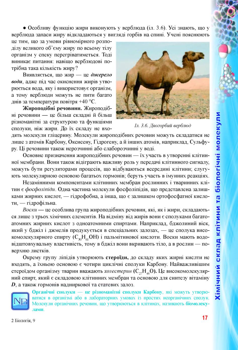 Мініатюра 17