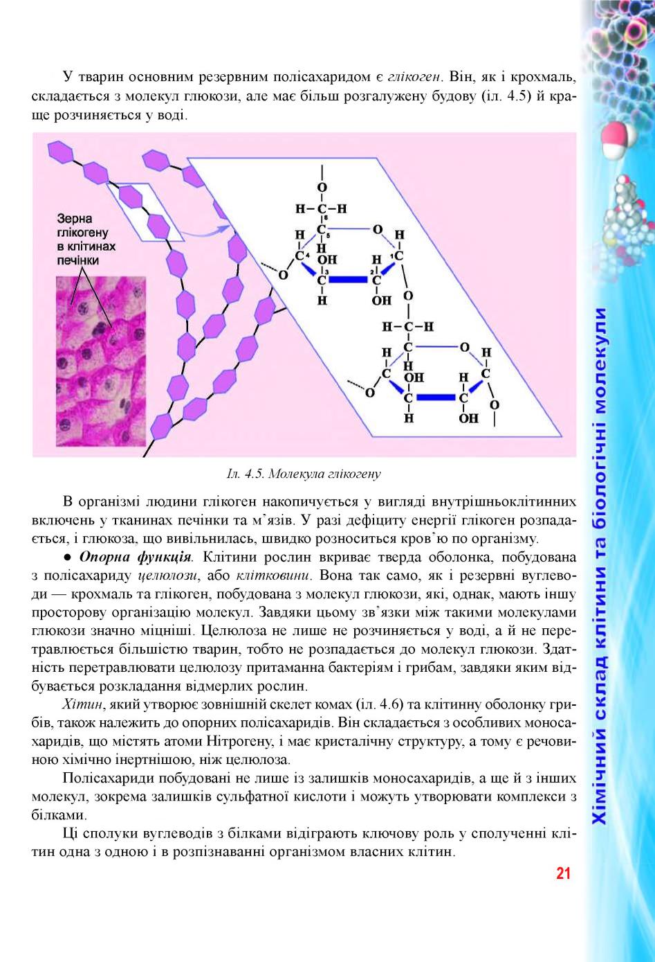 Мініатюра 21