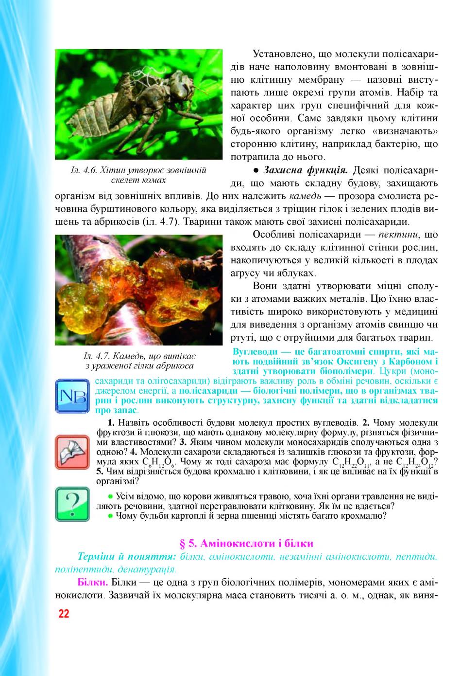 Мініатюра 22
