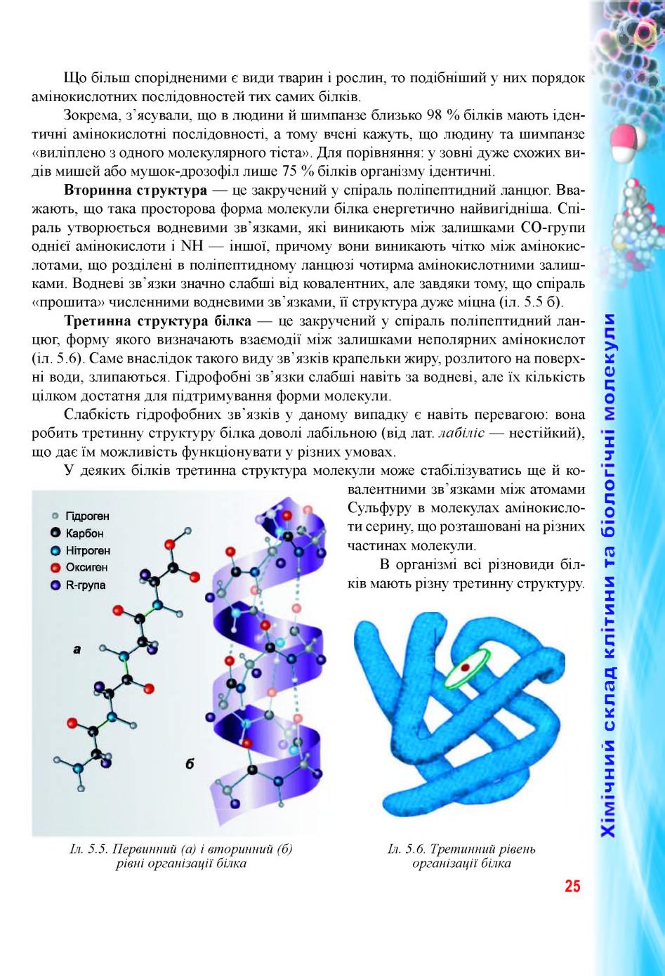 Мініатюра 25