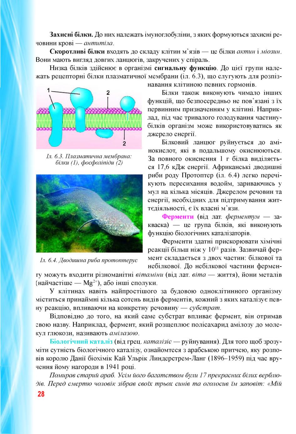 Мініатюра 28