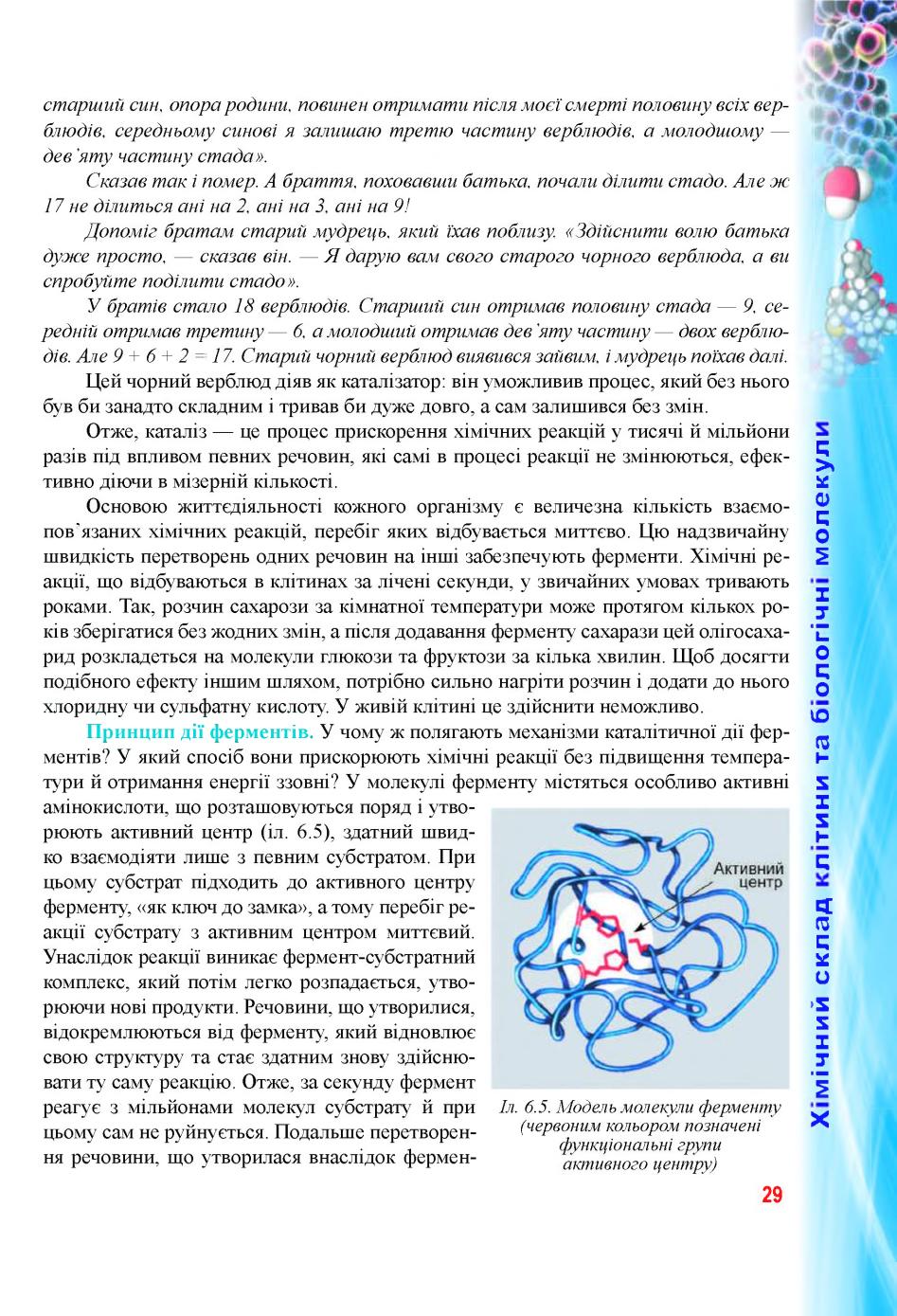 Мініатюра 29