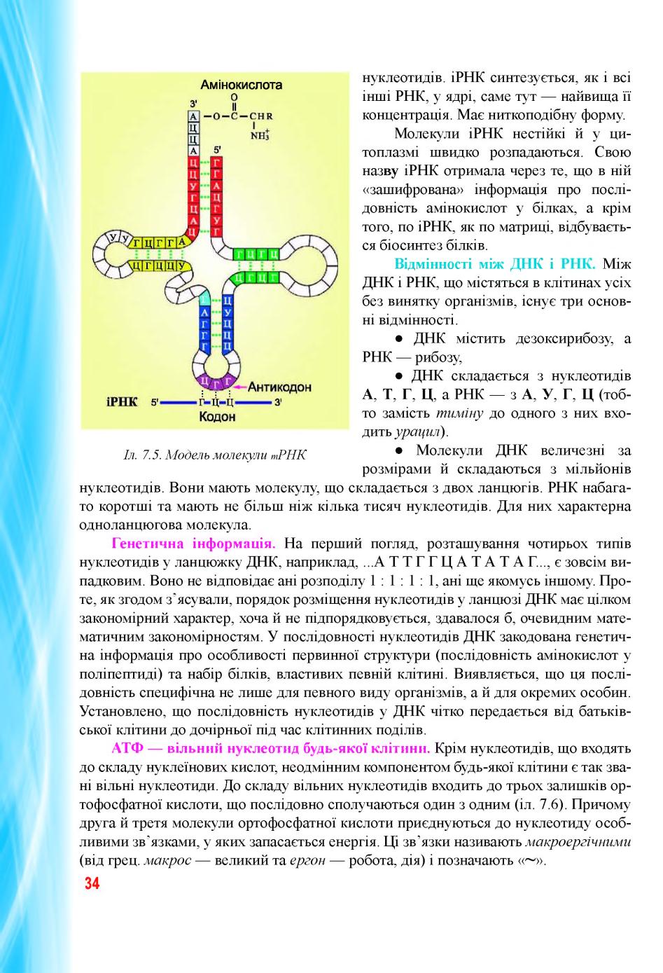 Мініатюра 34