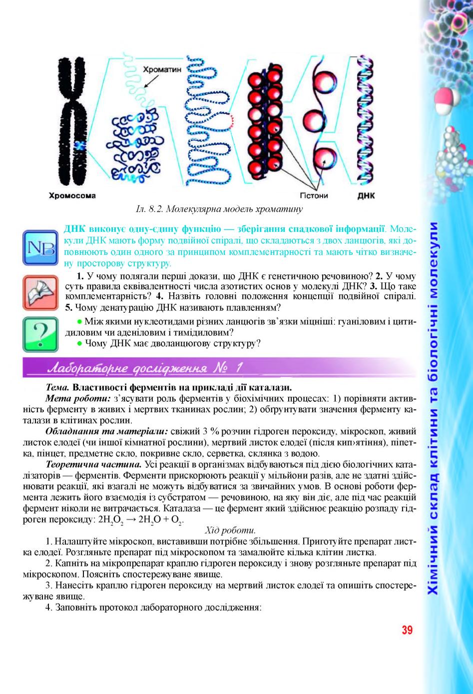 Мініатюра 39