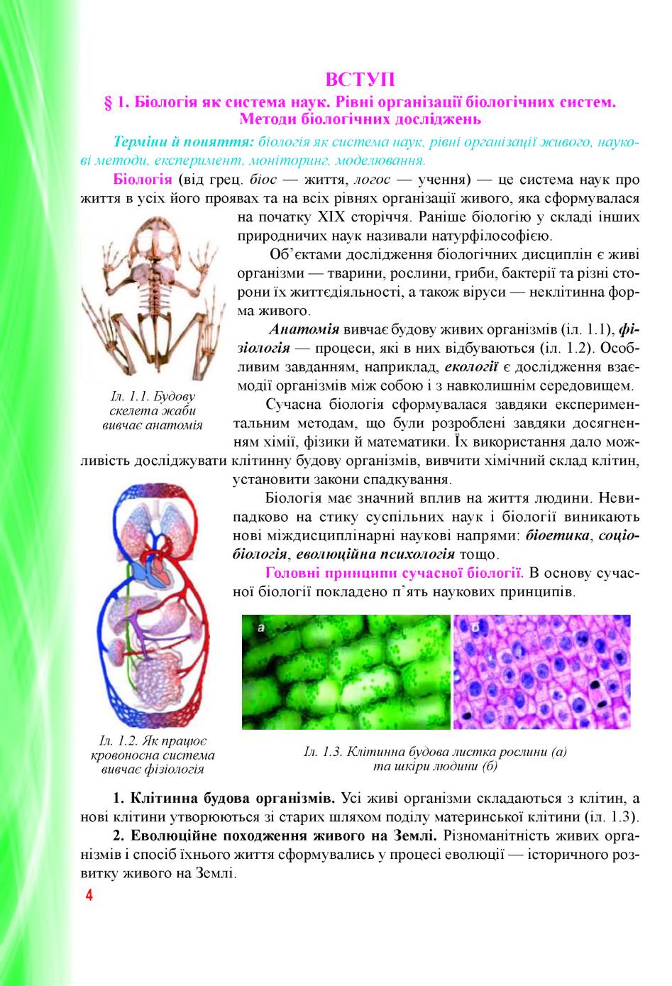 Мініатюра 4