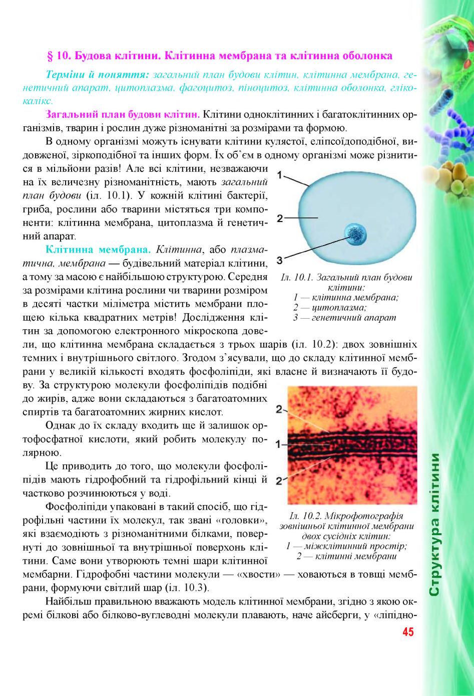 Мініатюра 45