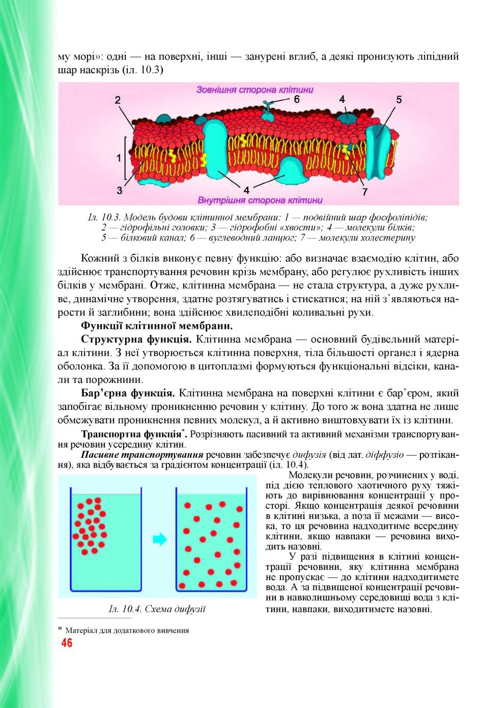 Мініатюра 46