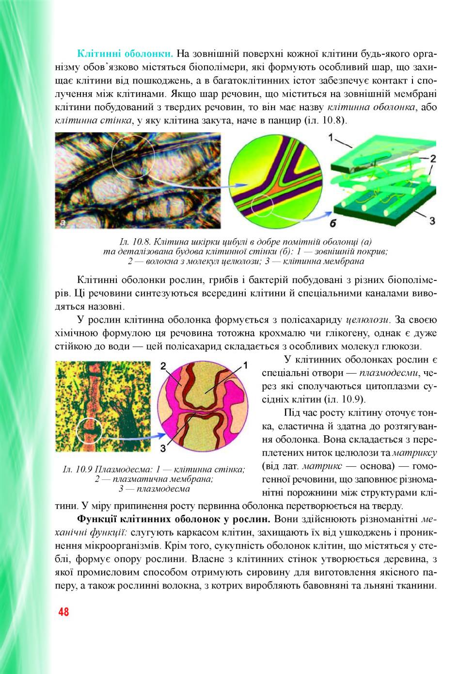 Мініатюра 48