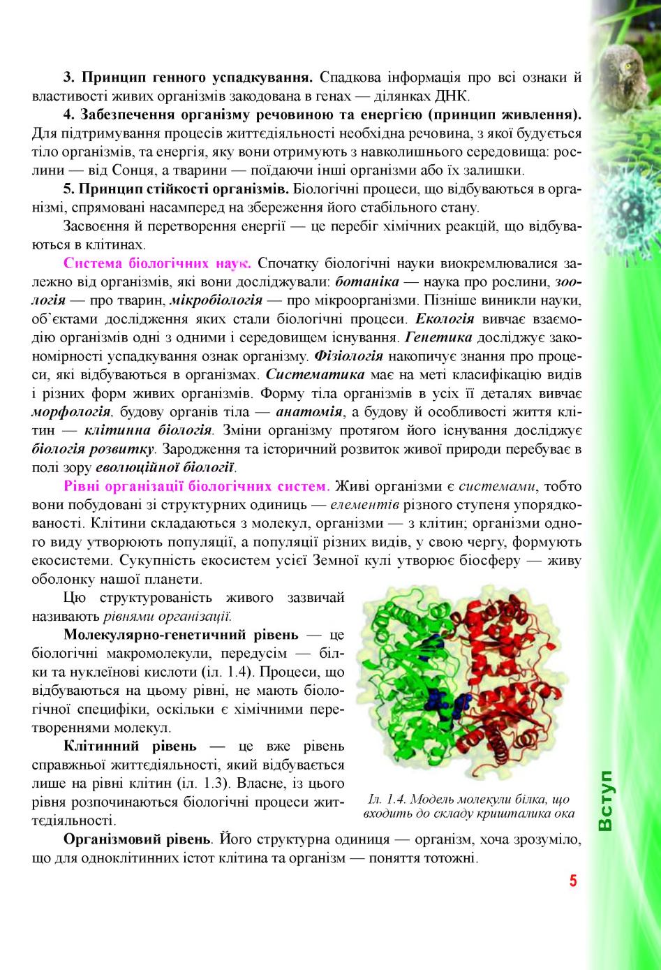 Мініатюра 5