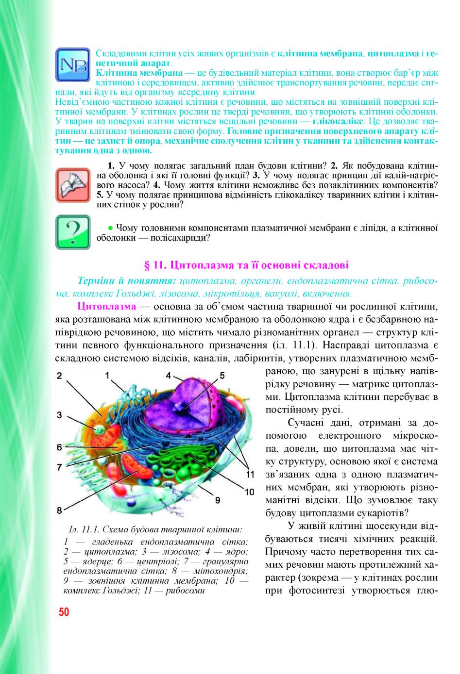 Мініатюра 50