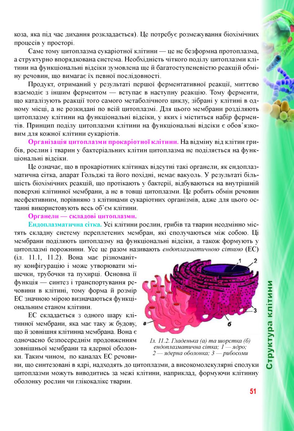 Мініатюра 51