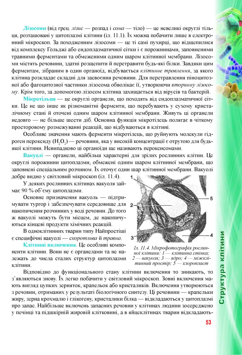 Мініатюра 53