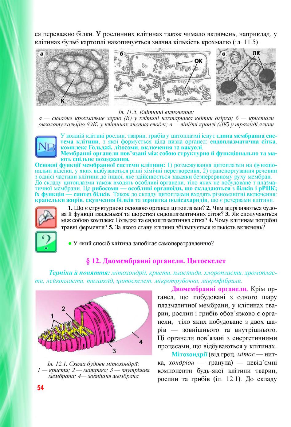 Мініатюра 54