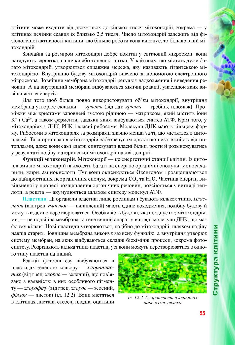 Мініатюра 55