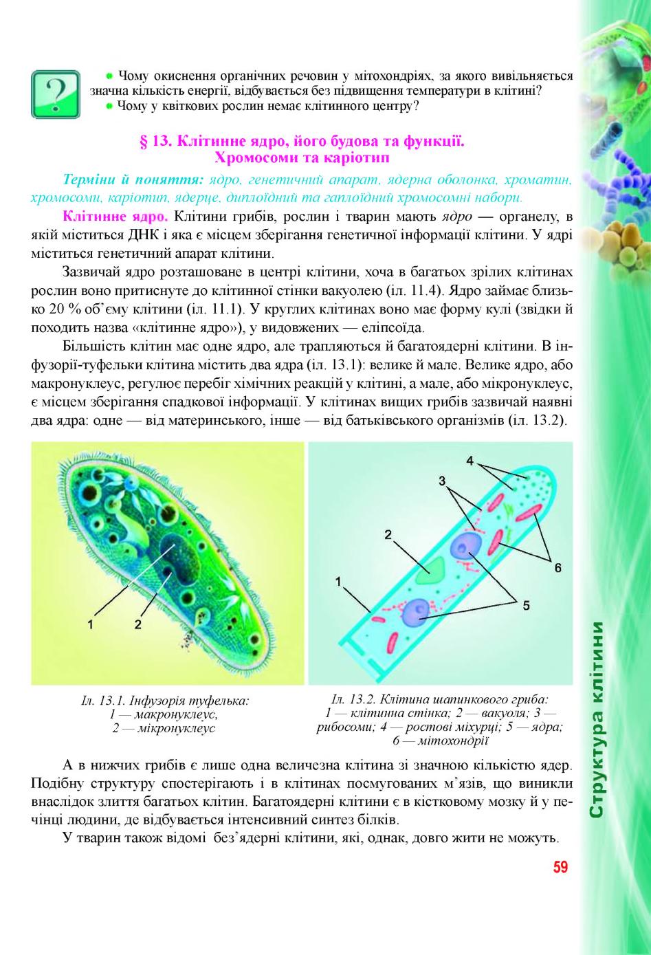 Мініатюра 59
